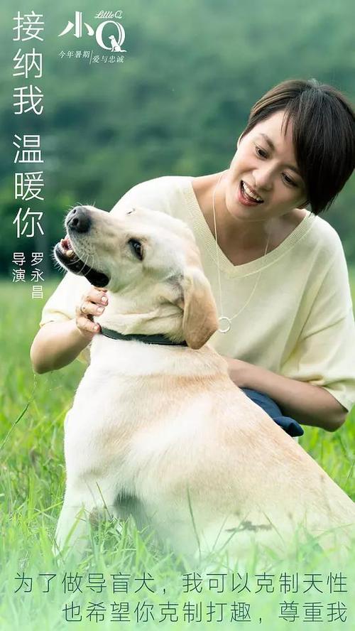 学历认证证书编号怎么获取